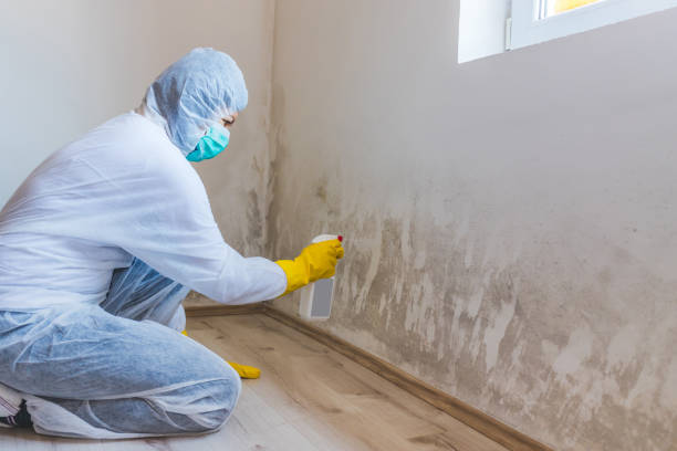 Mold Remediation specialist working in Boswell